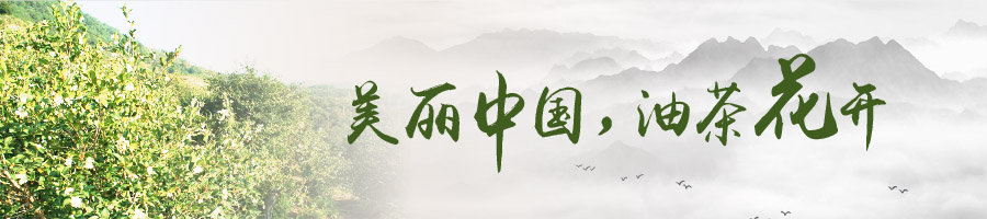 油茶产业