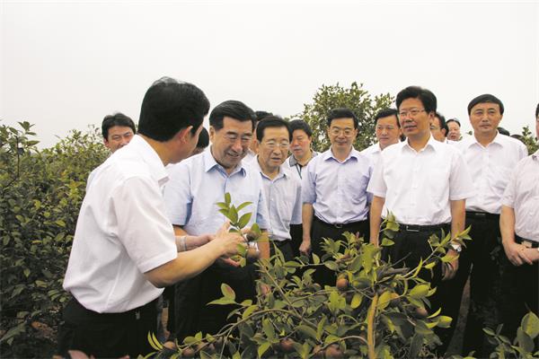 2  2008年9月，回良玉副总理（左二）在湖南省油茶基地考察.jpg
