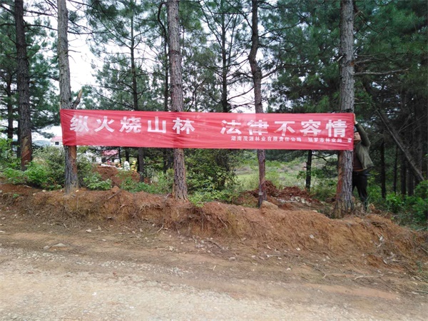 0415  岳阳林纸林业基地的防火宣传.jpg