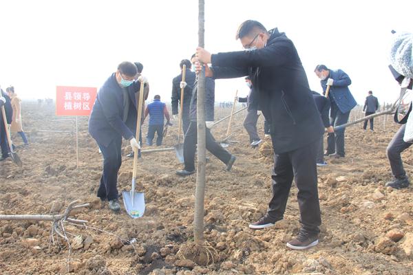 全椒县委书记朱大纲（左）参加植树活动 (2).jpg