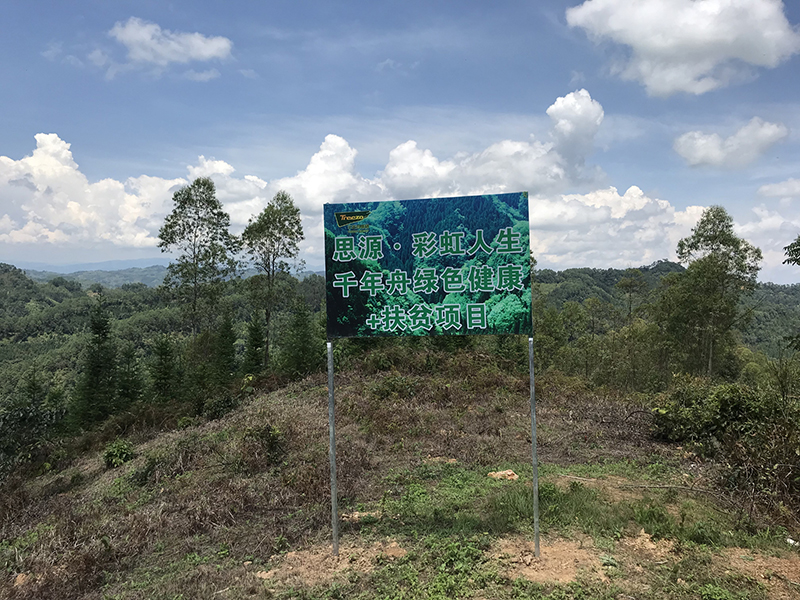 从2007年开始，公司到云南师宗投资，扶持当地林农植树造林活动，使当地种植林面积由8万余亩达到110万亩。.jpg
