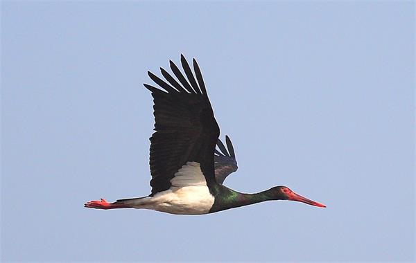 8685676_110735240108_2_看图王.jpg