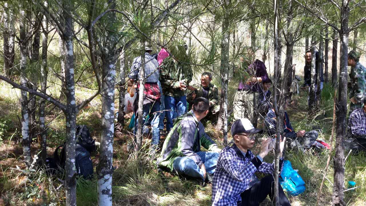 云南森林资源二类调查中，队员们集体在山间小憩、商讨最佳方案.jpg