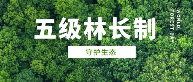 有用9.jpg