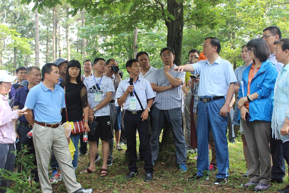 1　　2018年7月，国家林草局在黄柏山林场组织举办珍稀植物保护培训活动.jpg