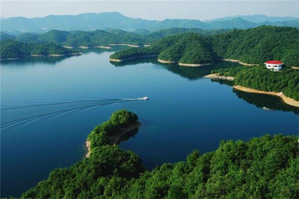 江西九江：森林增长和林农致富有机统一