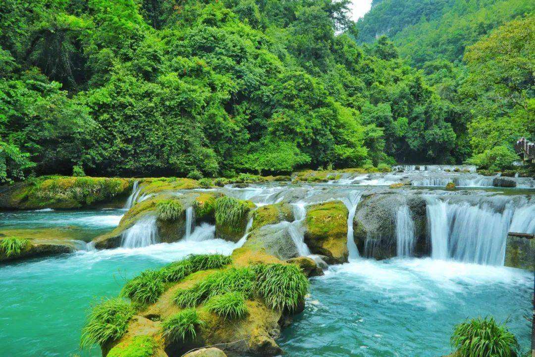 1665539556274686.jpeg 4.jpeg