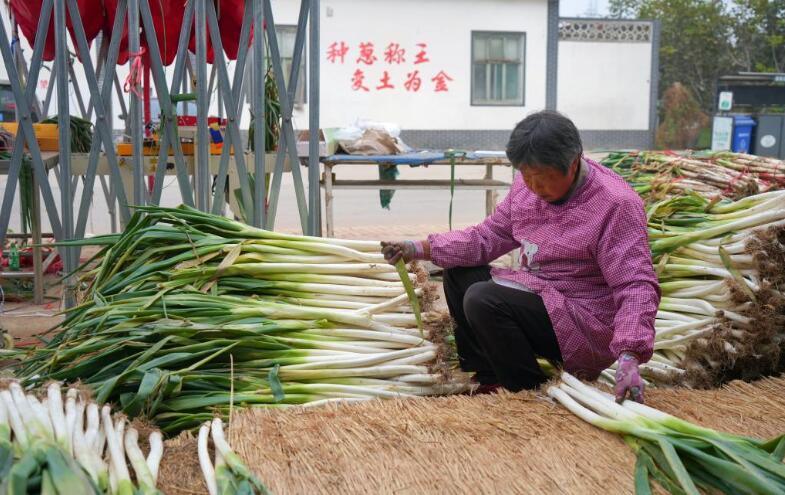 QQ截图20221114091320.jpg