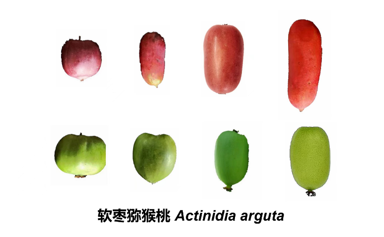 005056a5b39e25037cb005.png