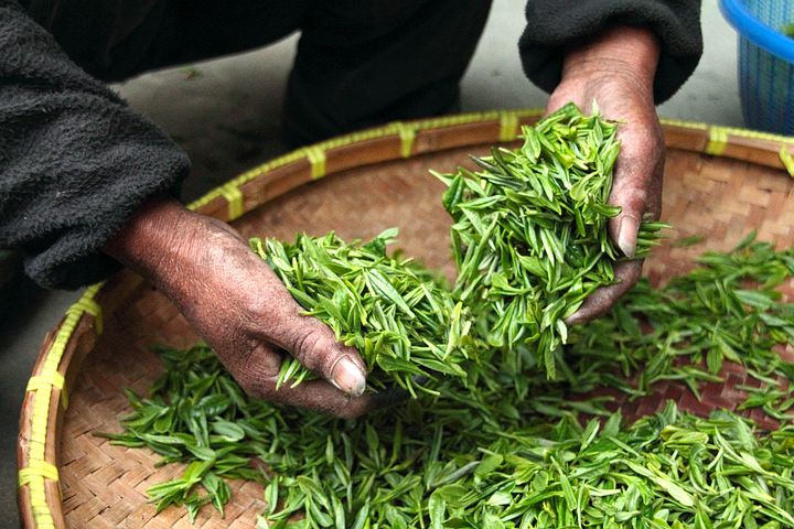 tea-623796__480.jpg