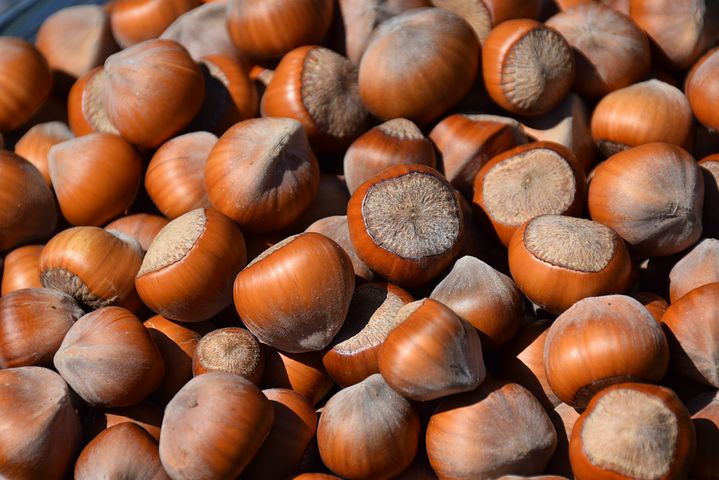 hazelnuts-3783066__480.jpg