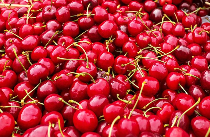 cherries-1465801__480.jpg