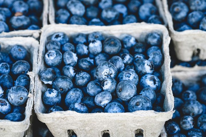 blueberries-1326154__480.jpg
