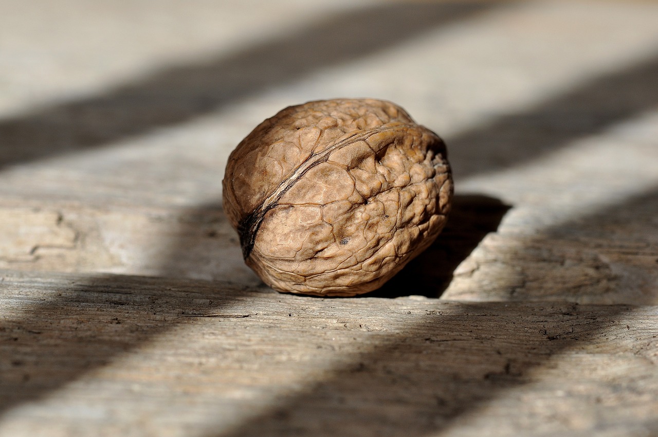 walnut-658569_1280.jpg
