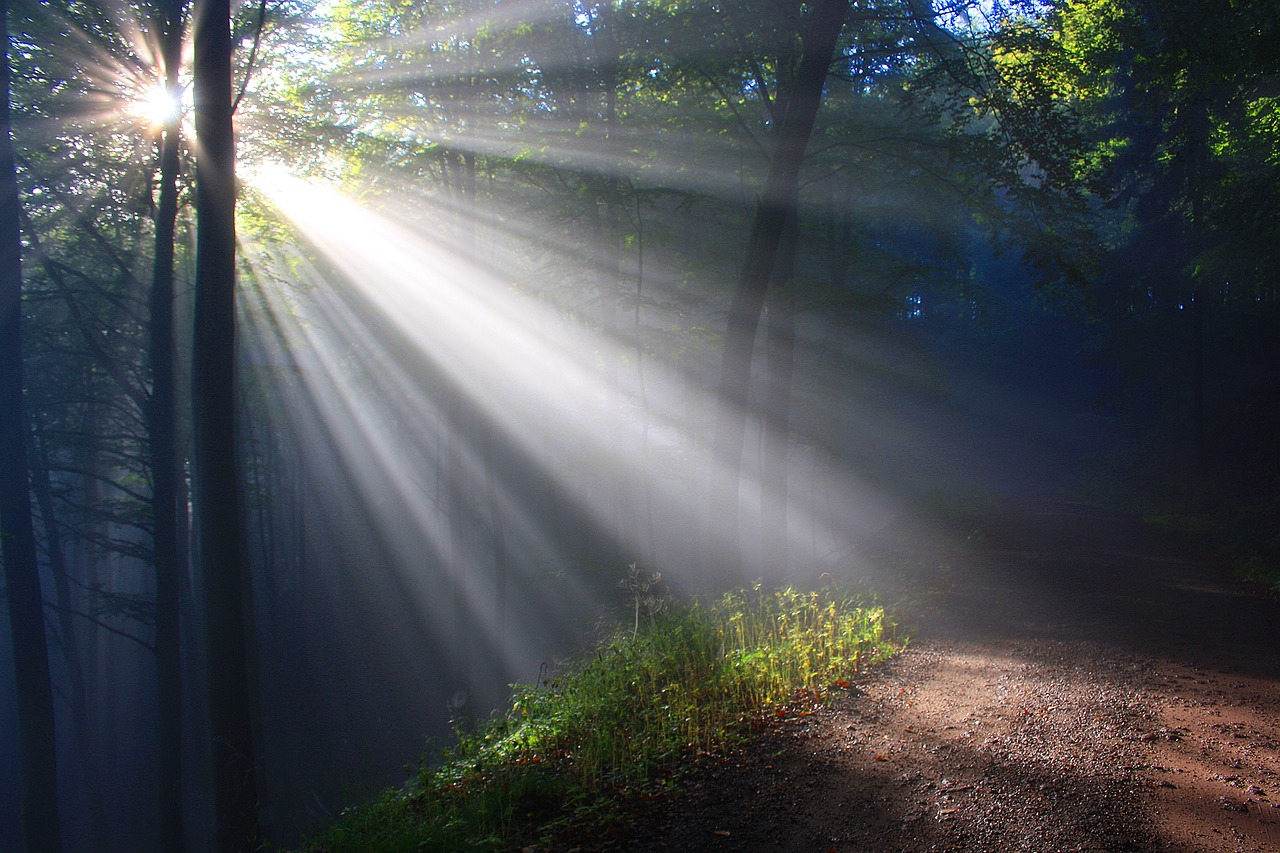 sunbeam-2761911_1280.jpg