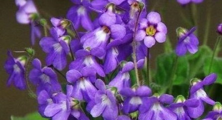 u=3754936991,3553555586&fm=173&app=49&f=JPEG.jpg