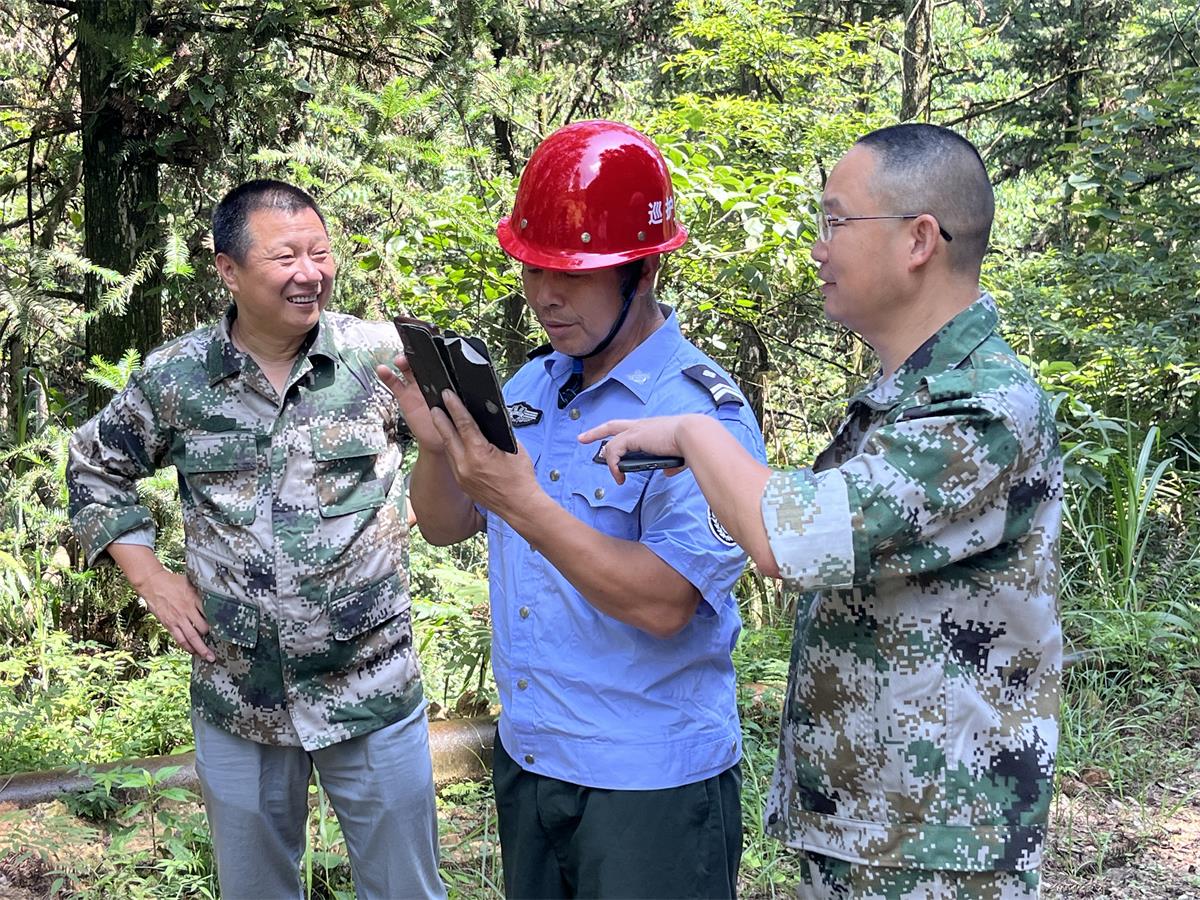 三明市沙县区富口镇林业站上山指导伐区调查设计.jpg