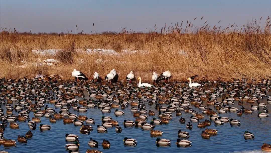 1708610965161081.jpg 22-4.jpg