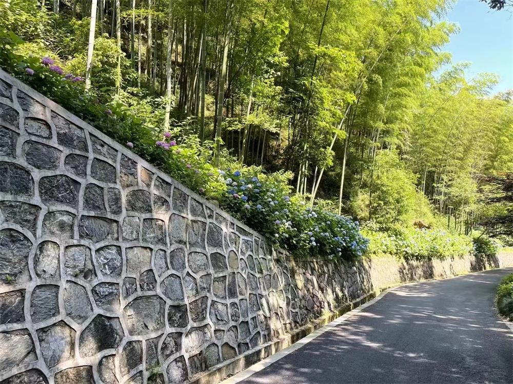 微信图片_20240520141119.jpg