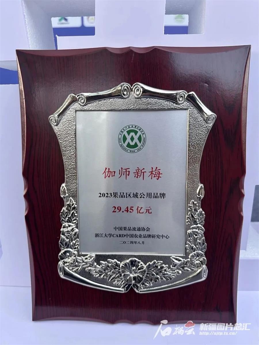 微信图片_20240901222602.jpg