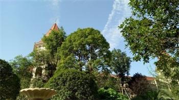 1753060698143114.jpg f9452baac52a367da9afa749c6e3fce.jpg