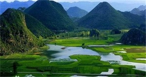 1758594727795546.jpg 50ae0e67e620cd742270c5a5fc244933.jpg