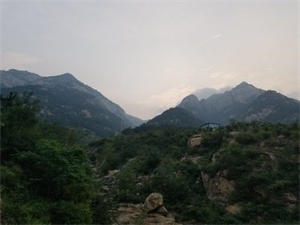 c7fa0dcc8cb5b9f2d76e5c328af13e24.jpg