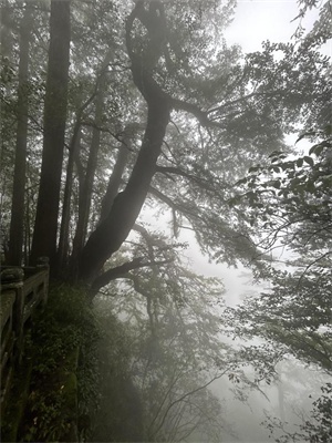 1758773531279374.jpg 6e61171bcbff7c35ba40a26b1a08513b.jpg