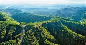 1759026957234531.jpg 81680bd73412cd8710375d92d3471b2b.jpg