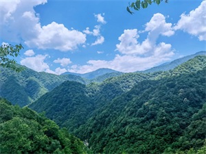 1759199924254597.jpg fe09360da28fd502c1af638f9e640930.jpg