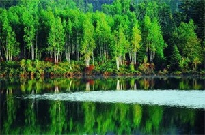 1759200997145368.jpg 30fc5acff3d79716bd0473201996578a.jpg