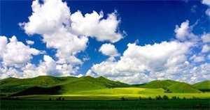 f003c63d898604f4dc8a1d80f1400cb0.jpg