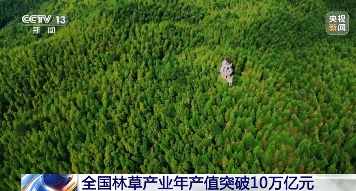 林业_看图王.jpg