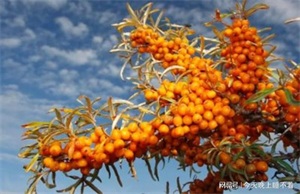 1760577460209544.jpg 625b8dcefafeaec15b78d6c980ba308b.jpg