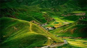 1760666203270172.jpg 515efd87fcb9677015b4949c3733027a.jpg