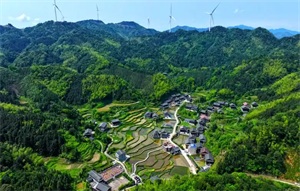 1761015775515838.jpg 6c333a337d5aeea16e9c0c2608cb6ad7.jpg