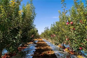 1761111732816223.jpg 7a85a8088e1c2c91edd017beff8ea6e8.jpg