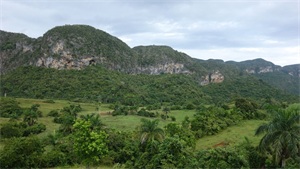 1761112623495790.jpg 2a157cc5fbb3743e4b6680b773c09471.jpg