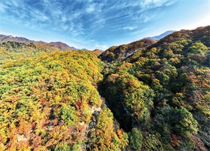 1761533210371209.jpg 7f0cda56f80738754d025fac84035cc4.jpg