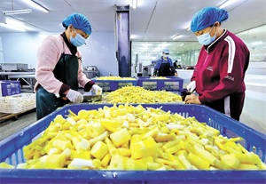 1761616764971197.jpg 07242d05410127d3443cb7c7dcbb8bfc.jpg