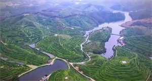 1761617110803491.jpg 5e8bcb9afdb262dab4f1f16ef51e4d0f.jpg