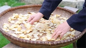 1761617274999798.jpg 632ce94aacc1b2c988fc0dfa300284fa.jpg