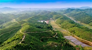 1761701130231097.jpg 4049977cebe5badac76bd62c9ca8b785.jpg