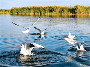 1761701382276620.jpg 2cff43ea9ff2efc53154b9cd1e52e9d4.jpg