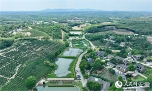 1761701718647377.jpg bb47a7cf6387a167611c96151479108f.jpg