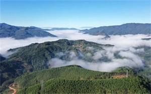 1761701898716481.jpg 9fddc3425bd550b497459e08aeccb384.jpg