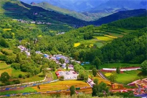 1761702232650283.jpg 0083d282b53645c98c3ca51c3c4b6cf2.jpg