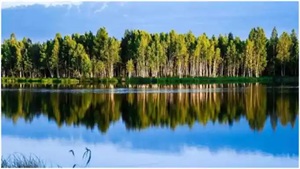 1761702578731868.jpg 87f4d44d4f1dc0ba9f0112c06238b09c.jpg