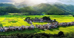 1761787639743920.jpg a679ef72398f7cb3917b4f03d1a42c6c.jpg