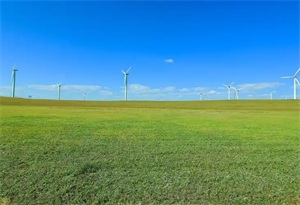 1761788885150067.jpg 7cf74bbf0462f1556f630da1979dbbae.jpg